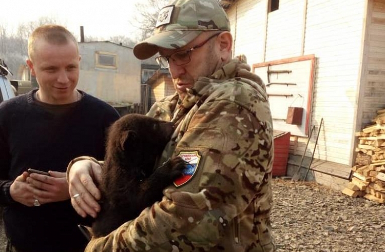 Браконьеру за убийство медведицы в Кировском районе грозит тюрьма