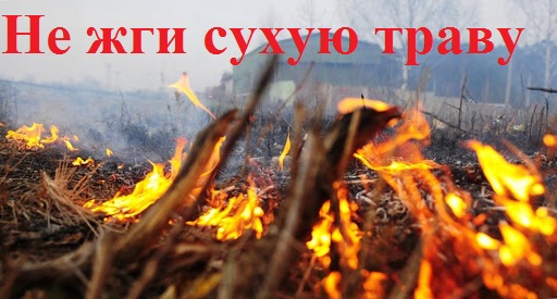 Отдел надзорной деятельности и профилактической работы по Кировскому муниципальному району предупреждает: Пал сухой травы - угроза пожара!