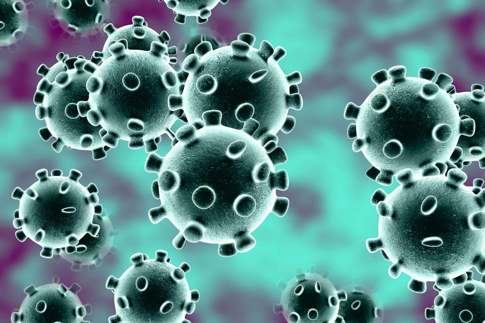 Памятка: Профилактика гриппа и коронавирусной инфекции