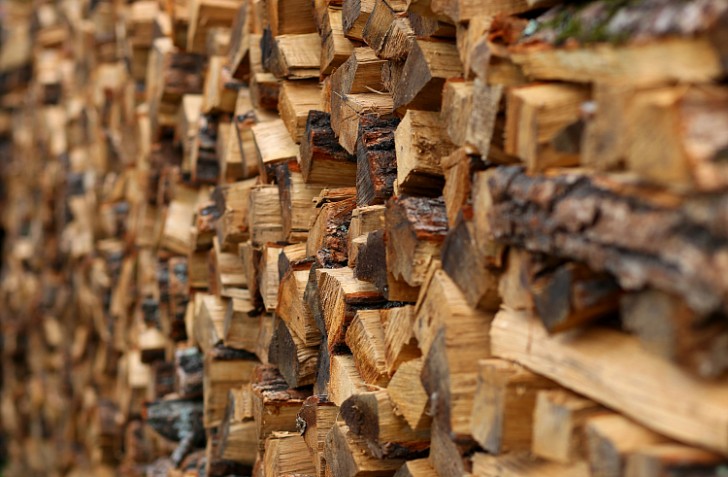 Губернатор Приморья поручил увеличить объем древесины для обеспечения топливом населения