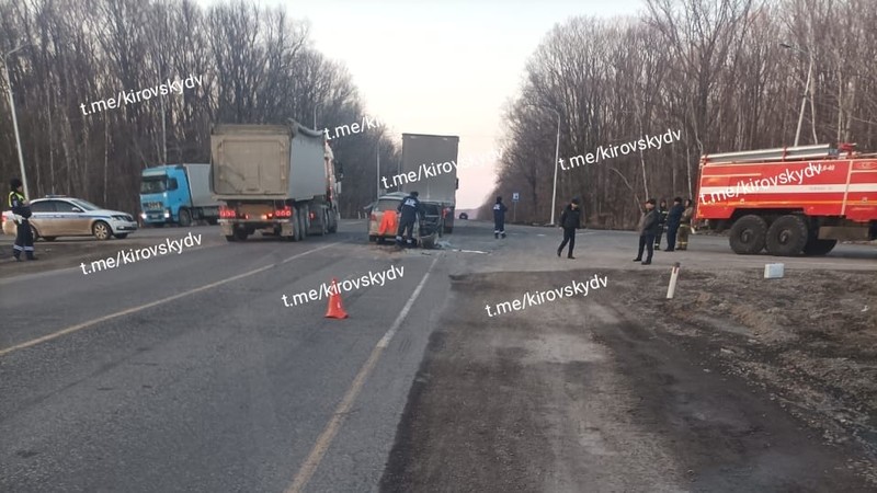 Сотрудники полиции в Приморье работают на месте смертельной автоаварии