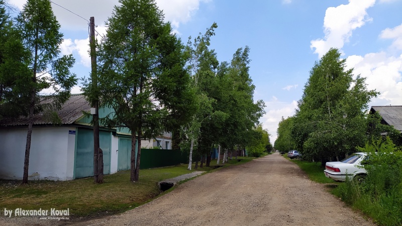 Виноградная улица в посёлке Кировский