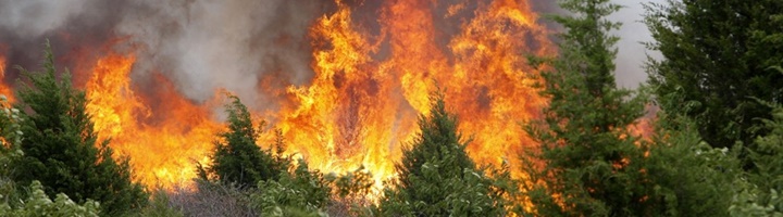 О проведении противопожарных мероприятий в весенний пожароопасный период и предотвращению природных пожаров
