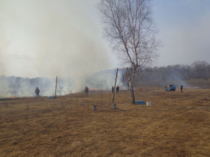 Учения по ликвидации природных пожаров, угрожающих населенным пунктам подверженным угрозе лесных пожаров, прошли в Кировском районе