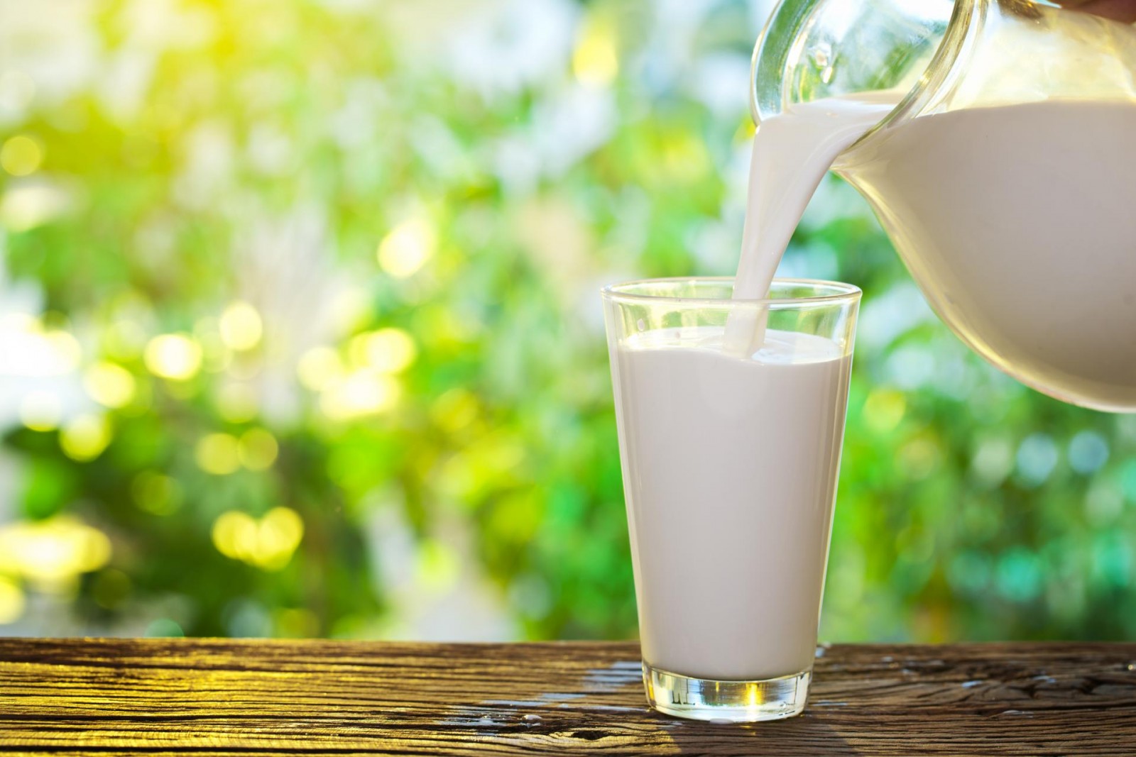 Лаборатория Россельхознадзора выявила нарушения в партии молока общим весом 2,5 тонны