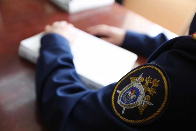 Подозреваемому в убийстве 17-летней девушки в Кировском районе предъявлено обвинение