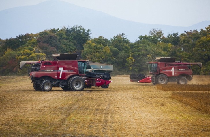 Урожайность ранних зерновых увеличилась в Приморье