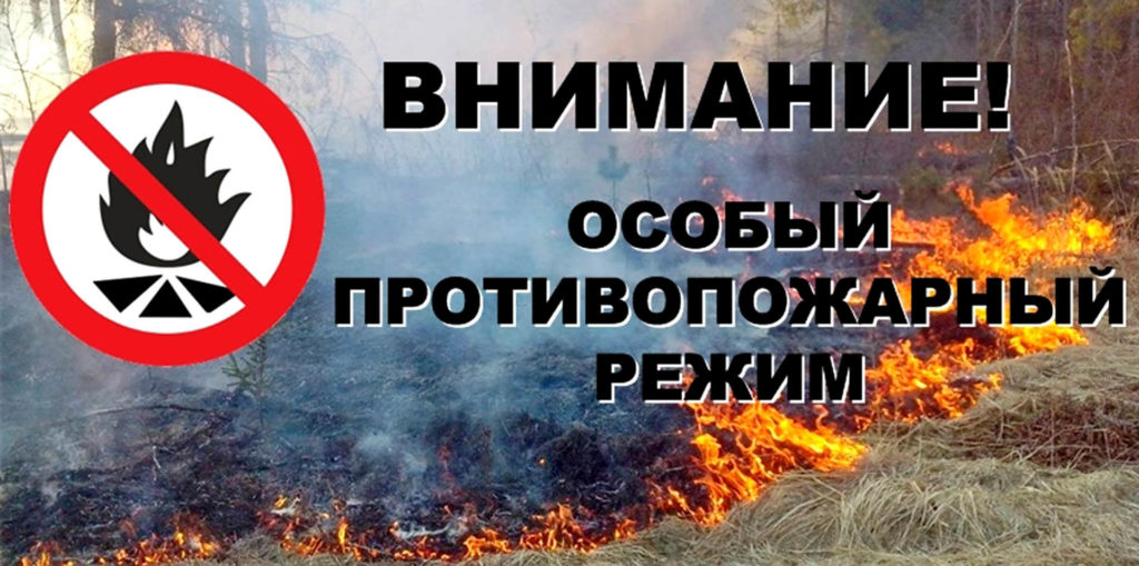 В Кировском районе введен особый противопожарный режим