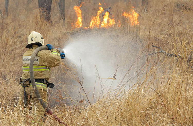Утверждены сроки начала пожароопасного сезона в Приморье