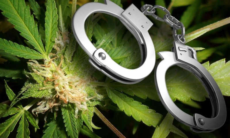 В Кировском районе мужчина осужден за незаконное приобретение и хранение наркотических средств