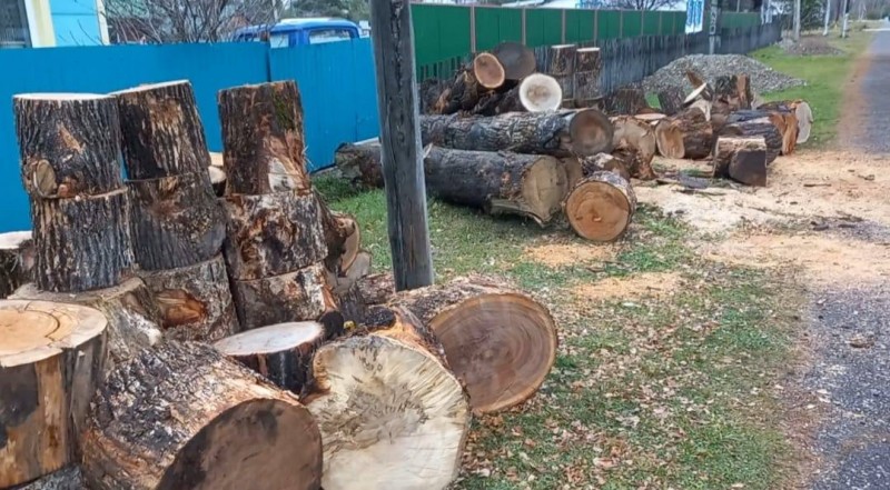 Администрация Кировского района обеспечивает бесплатными дровами семьи мобилизованных