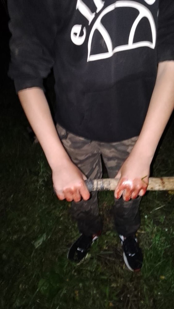 В Кировском районе полиция привлекла к ответственности родителей подростков, уличенных в жестоком обращении с животным